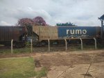 RUMO HPT-033844-3